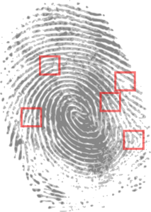 fingerprint